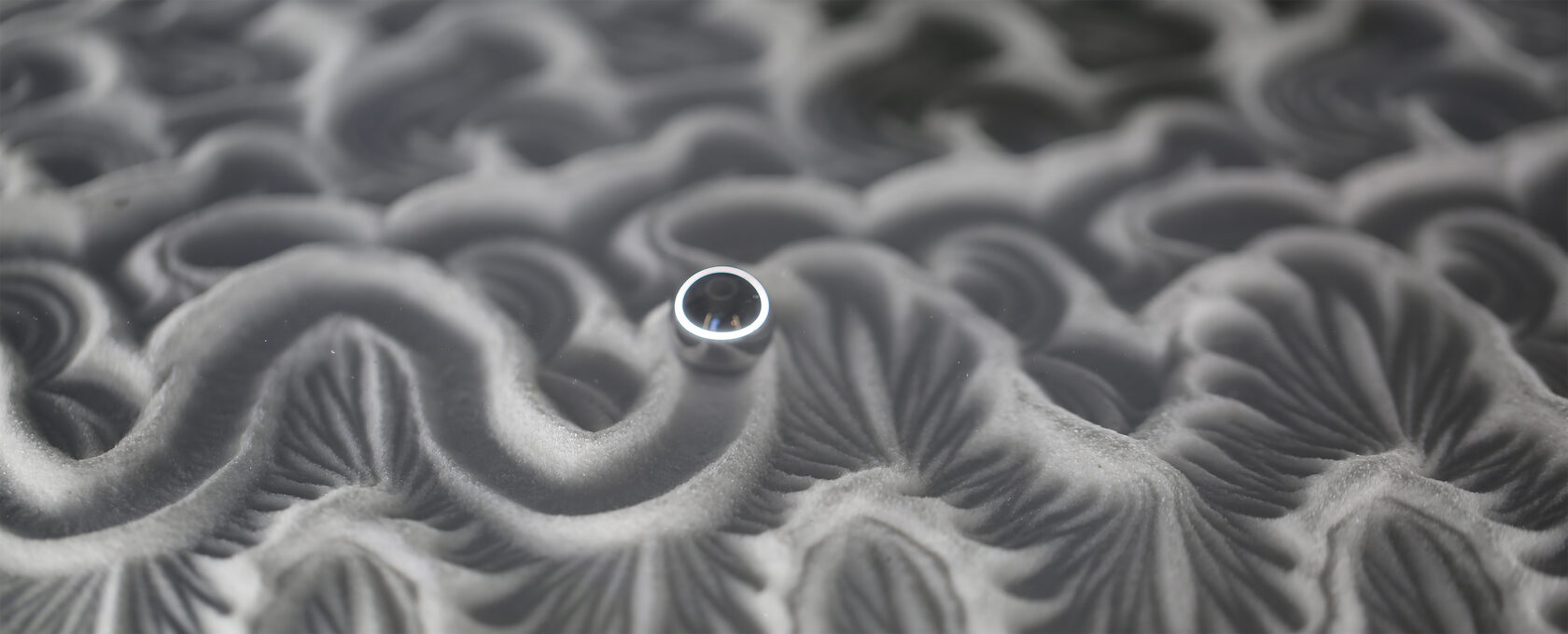 FMONE в интерьере